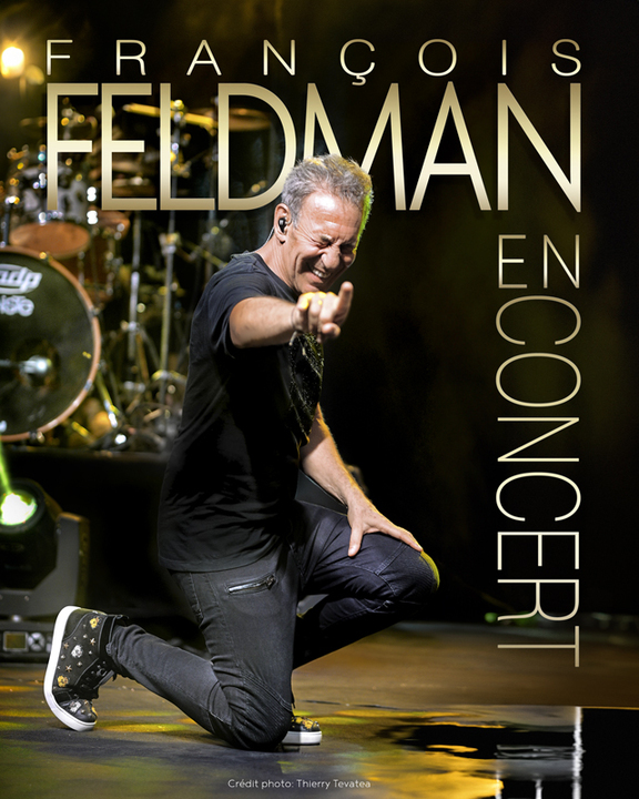 FRANCOIS FELDMAN – Confluence – Salle de spectacle