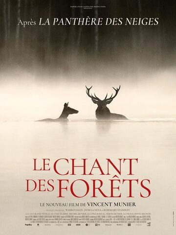 LE CHANT DES FORÊTS