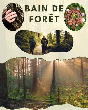 Bain de forêt